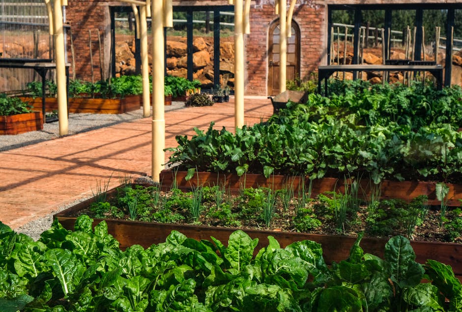 Getting Started with Your First Vegetable Garden
