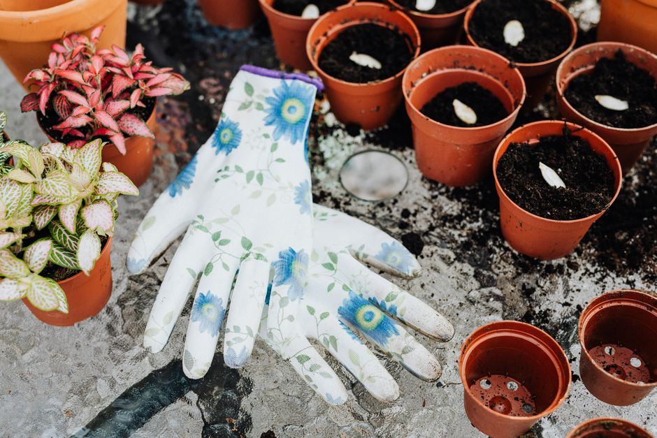 Seasonal Planting Guide for UK Farmers and Gardeners